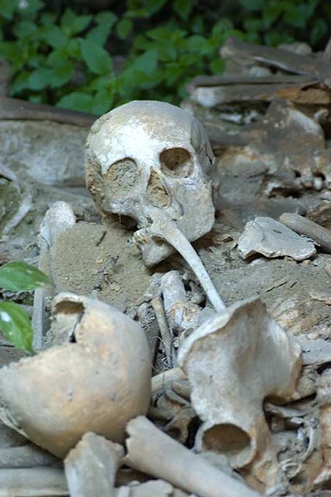 Beachfront, Herculaneum, July 2007. Detail from boatsheds.
Photo courtesy of Jennifer Stephens. ©jfs2007_HERC-SKEL-8609.